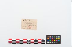 Etikett zu Bronzemehrkopfnadel (NHMW-PRAE-024578)